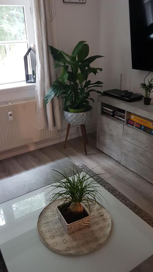 Stadtnah An Der Forde Apartment Фленсбург Екстериор снимка
